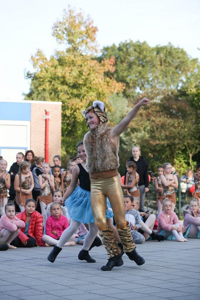 Schoolplein Festival B 147.jpg